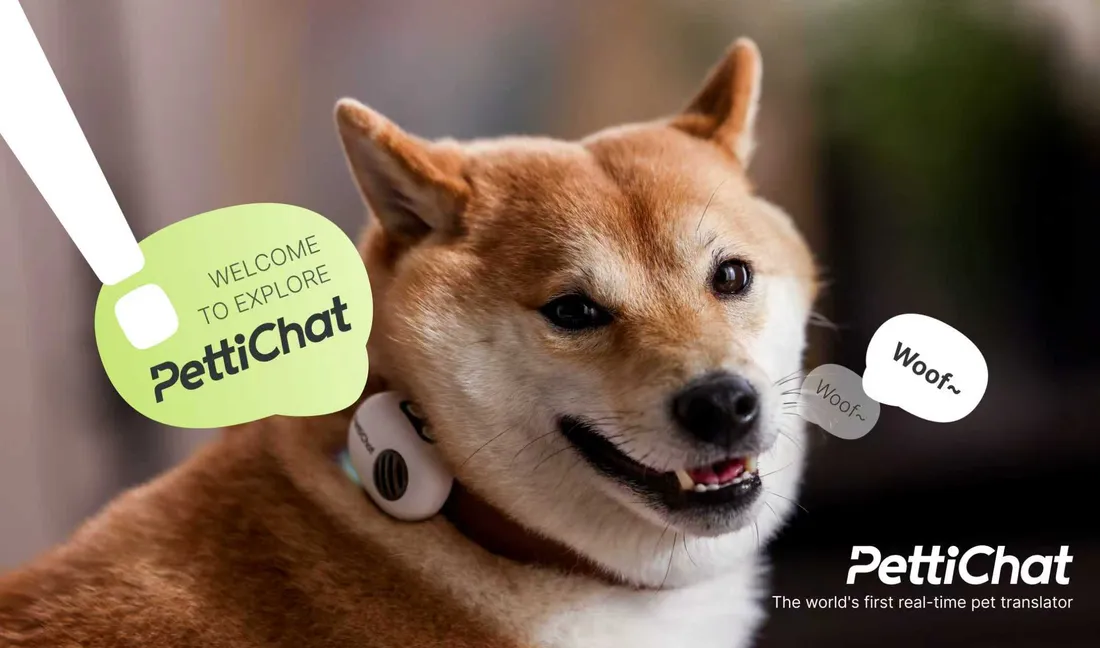 PettiChat app