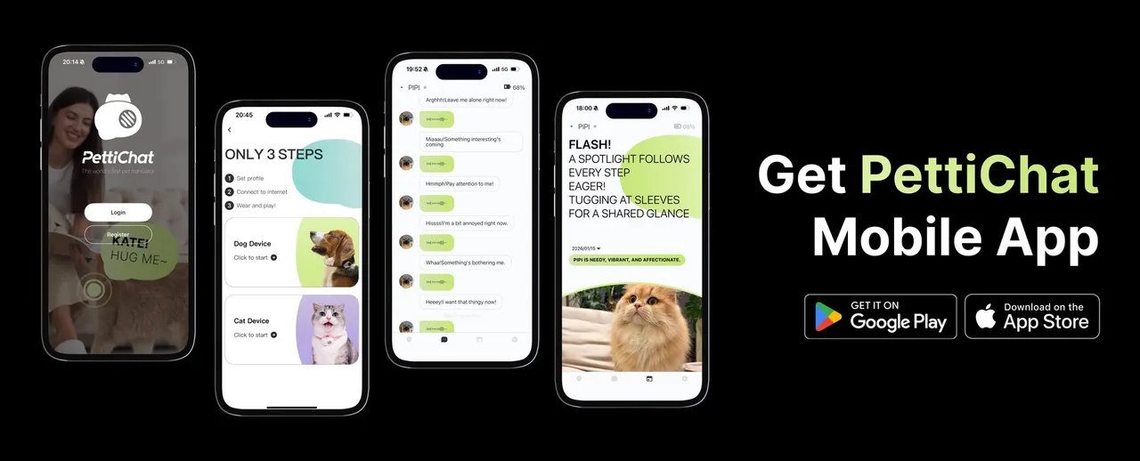 PettiChat companion app screens: onboarding, chat translation and pet diary