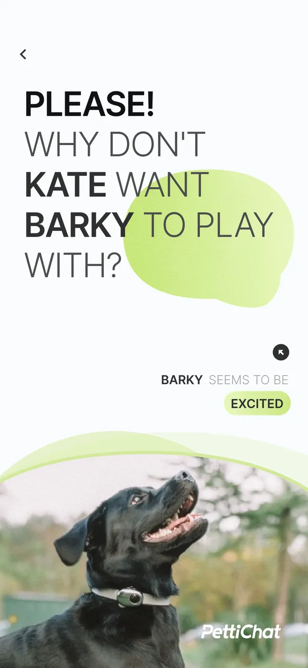PettiChat app screenshot 5